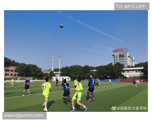 大连足球明星的奋斗历程与荣耀时刻展现了他们的激情与梦想